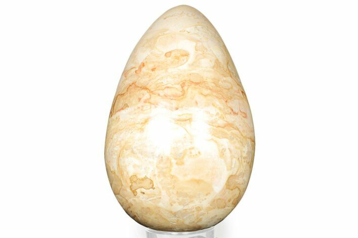 Polished Jasper Egg - Madagascar #323081